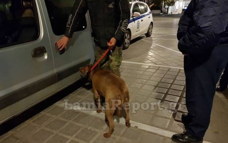 Με εντολή εισαγγελέα μάζεψαν τα αδέσποτα από τη Λαμία