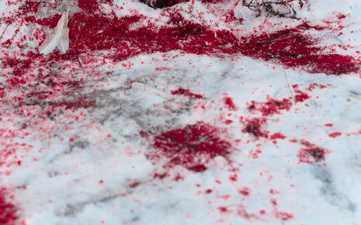 Έγκλημα στα Χανιά: «Θυμάμαι μόνο τα αίματα στο δωμάτιο» είπε ο Νορβηγός