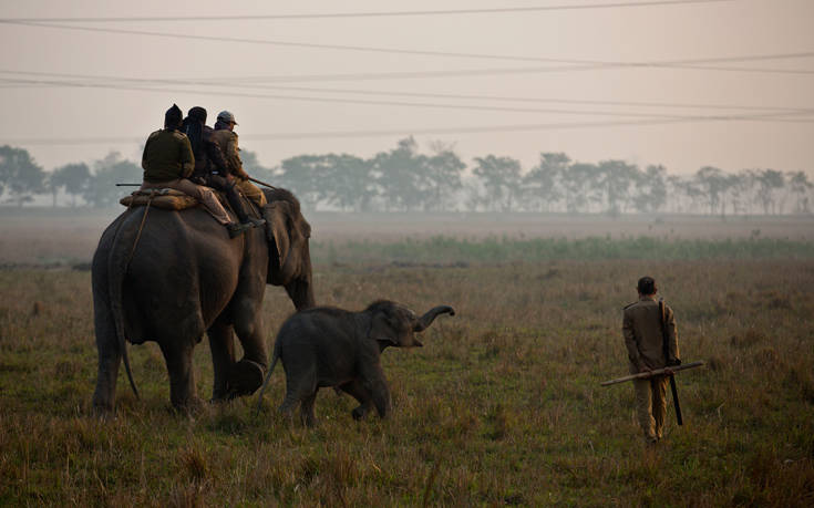 AP_18078287384946 AP_18078287384946