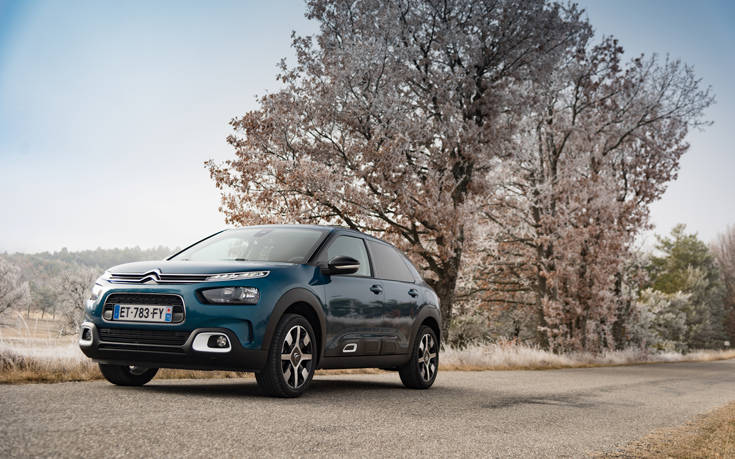 NewC4Cactus2 NewC4Cactus2