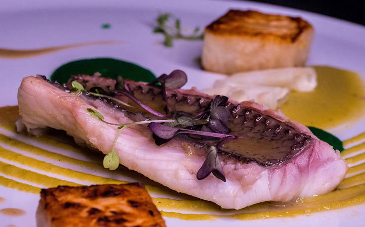 akmi1166545 akmi1166545