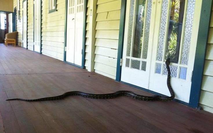 Εικόνες που θα συναντήσεις στην Αυστραλία