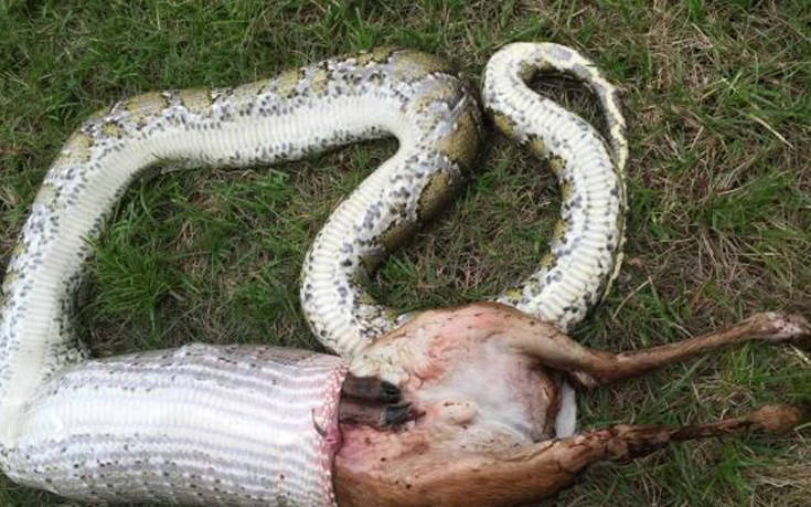 ffiidzidfidfsdfsefjsfsefse000 ffiidzidfidfsdfsefjsfsefse000