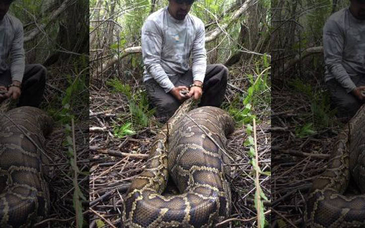 ffiidzidfidfsdfsefjsfsefse1 ffiidzidfidfsdfsefjsfsefse1