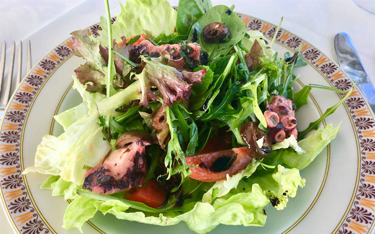 ΤΙΤΑΝΙΑ ΤΙΤΑΝΙΑ