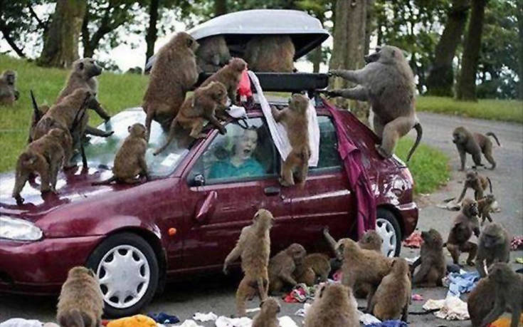 Τρίτη και 13