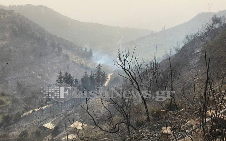 Έσωσαν το χωριό από την φωτιά, κάηκαν ελιές και καλλιέργειες