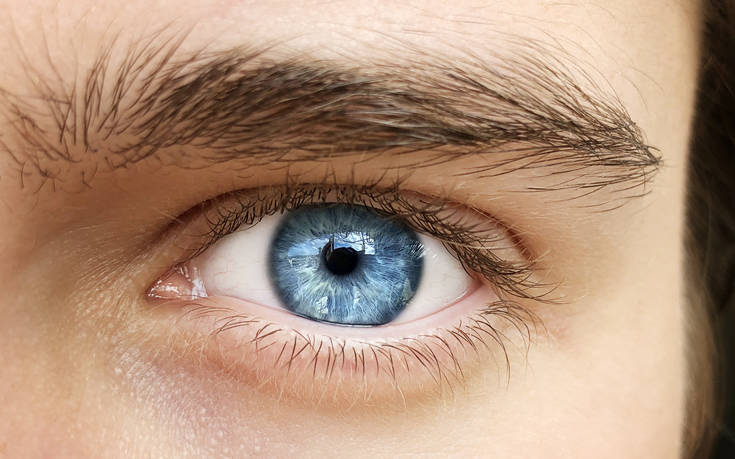 shutterstock761322163 shutterstock761322163