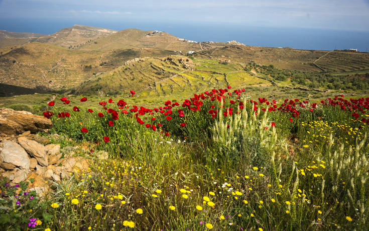 ΑΝΟΙΞΗ