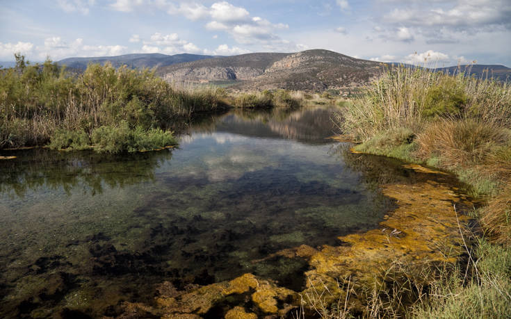 ΠΑΡΝΩΝΑΣ