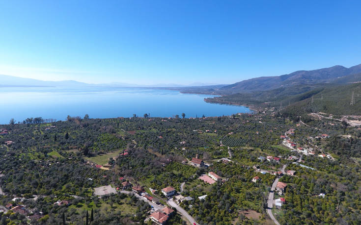 ΤΡΙΧΟΝΙΔΑ ΤΡΙΧΟΝΙΔΑ