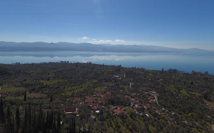 ΤΡΙΧΟΝΙΔΑ ΤΡΙΧΟΝΙΔΑ