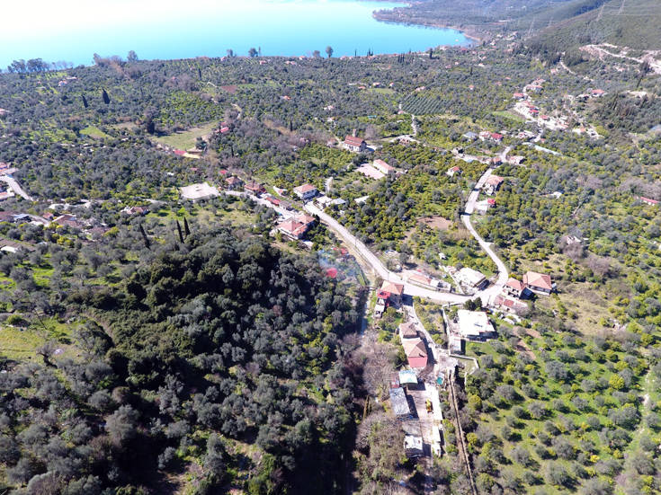 ΤΡΙΧΟΝΙΔΑ ΤΡΙΧΟΝΙΔΑ