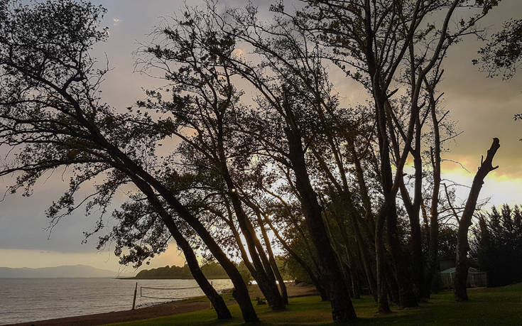 ΤΡΙΧΟΝΙΔΑ ΤΡΙΧΟΝΙΔΑ