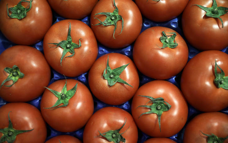Κατασχέθηκαν 4,6 τόνοι ντομάτας από Ιταλία και Αλβανία με υπολείμματα φυτοφαρμάκων