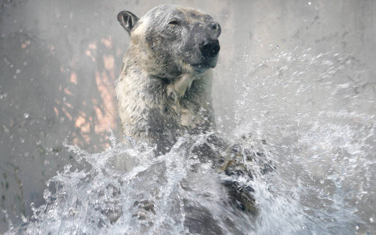 AP_07050403154 AP_07050403154