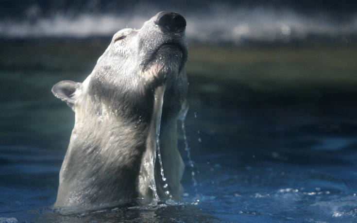 AP_07050403163 AP_07050403163