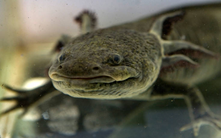 AP_080927035685 AP_080927035685