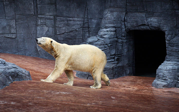 AP_142470299859 AP_142470299859