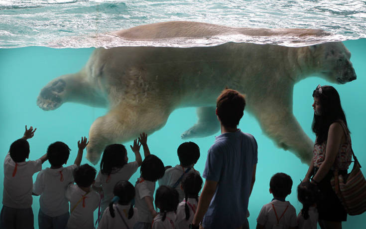 AP_16131678794921 AP_16131678794921