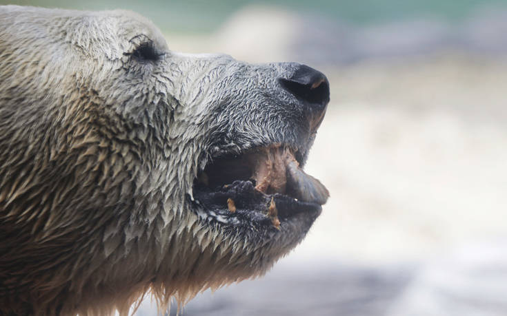 AP_16357258567318 AP_16357258567318