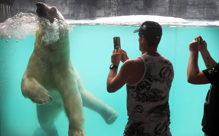 AP_256476571831 AP_256476571831