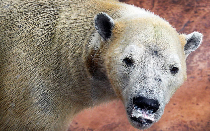 AP_5313506279 AP_5313506279