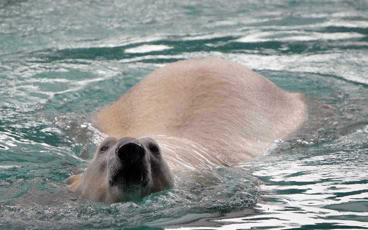 AP_581407007532 AP_581407007532