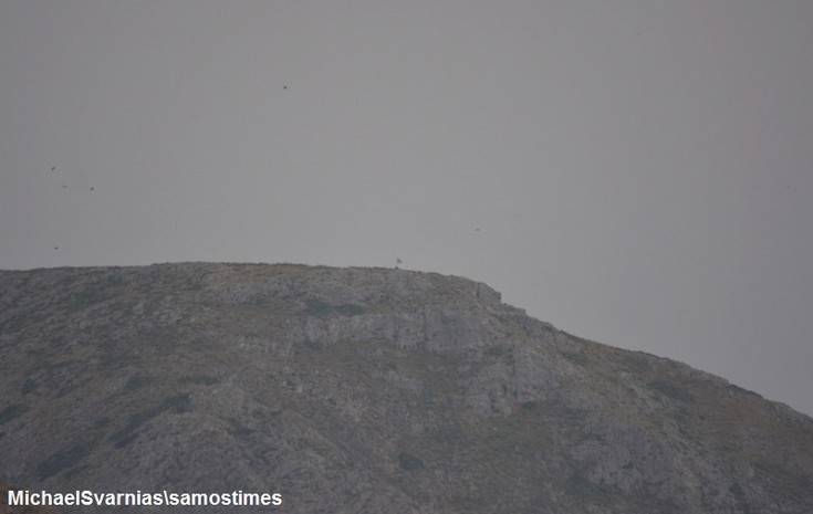 Τι γίνεται στις βραχονησίδες Ανθρωποφάς και Μικρός Ανθρωποφάς