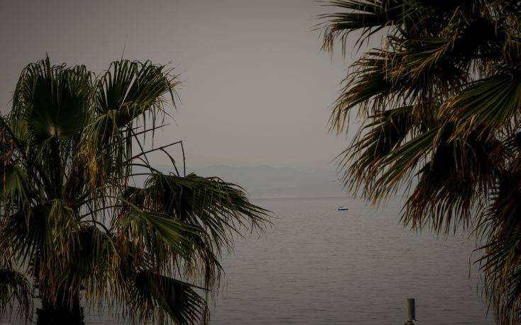 Áöñéêáíéêç óêïíç óôïí ïõñáíü ôçò ÁôôéêÞò ôçí ÊõñéáêÞ 15 Áðñéëßïõ 2018. (EUROKINISSI/ÃÉÁÍÍÇÓ ÐÁÍÁÃÏÐÏÕËÏÓ) Áöñéêáíéêç óêïíç óôïí ïõñáíü ôçò ÁôôéêÞò ôçí ÊõñéáêÞ 15 Áðñéëßïõ 2018. (EUROKINISSI/ÃÉÁÍÍÇÓ ÐÁÍÁÃÏÐÏÕËÏÓ)