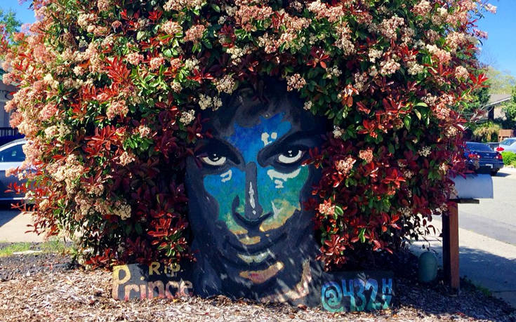 Ένα λουλουδένιο πορτρέτο στη μνήμη του Prince