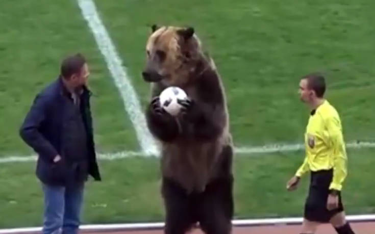 Η ρωσική ομοσπονδία ποδοσφαίρου φέρνει αρκούδα στο γήπεδο και γίνεται κακός χαμός