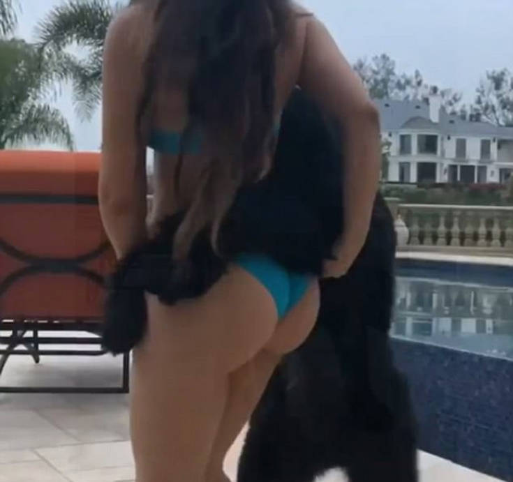 Hunty hump. Deyana Mounira Dog. Тверк hump. Humping женщина. Deyana Mounira Zoo.