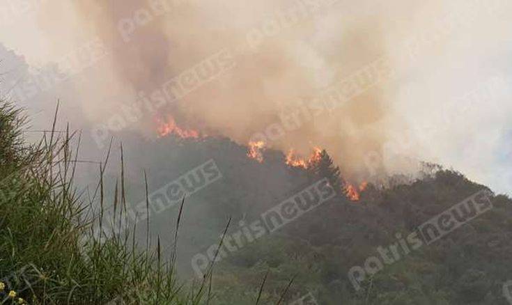 Συνελήφθη άνδρας για την πυρκαγιά στη Φρίξα Ηλείας