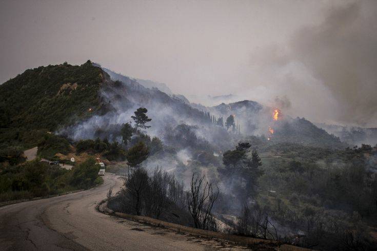 Νέα αναζωπύρωση σε δύσβατο σημείο στη Φρίξα της Ηλείας