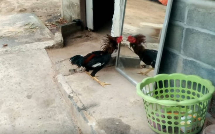 Όταν τα βάζεις με τον ίδιο σου τον εαυτό