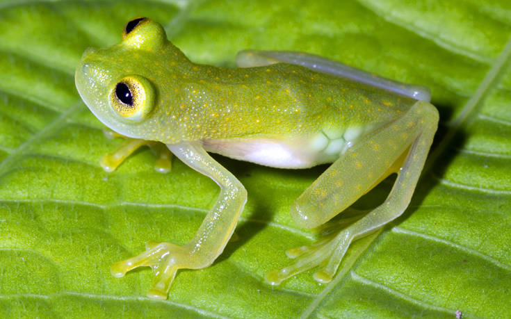 shutterstock106867019 shutterstock106867019