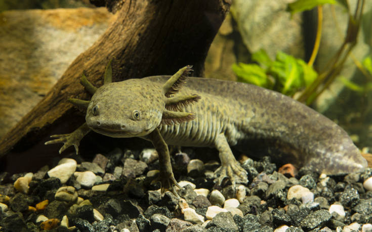 shutterstock427983619 shutterstock427983619