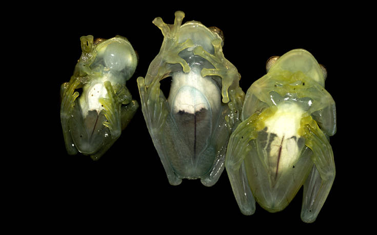 shutterstock658501243 shutterstock658501243