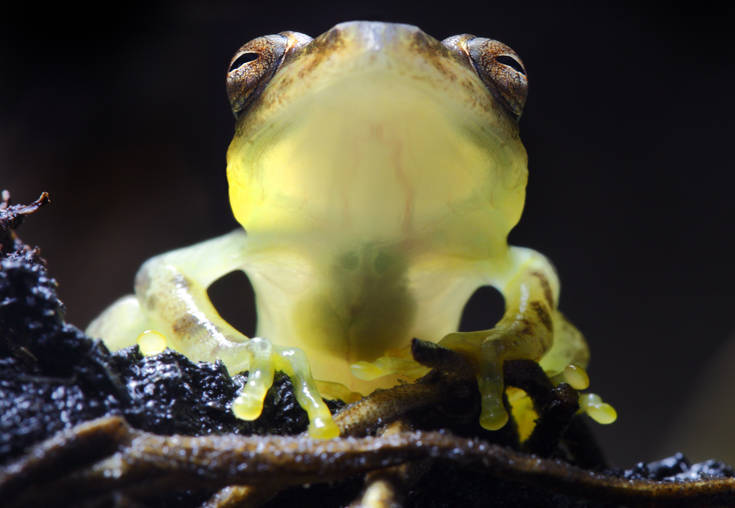 shutterstock81704866 shutterstock81704866