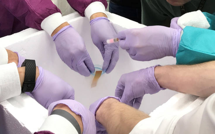 Η NASA στέλνει σπέρμα στο διάστημα για πρώτη φορά