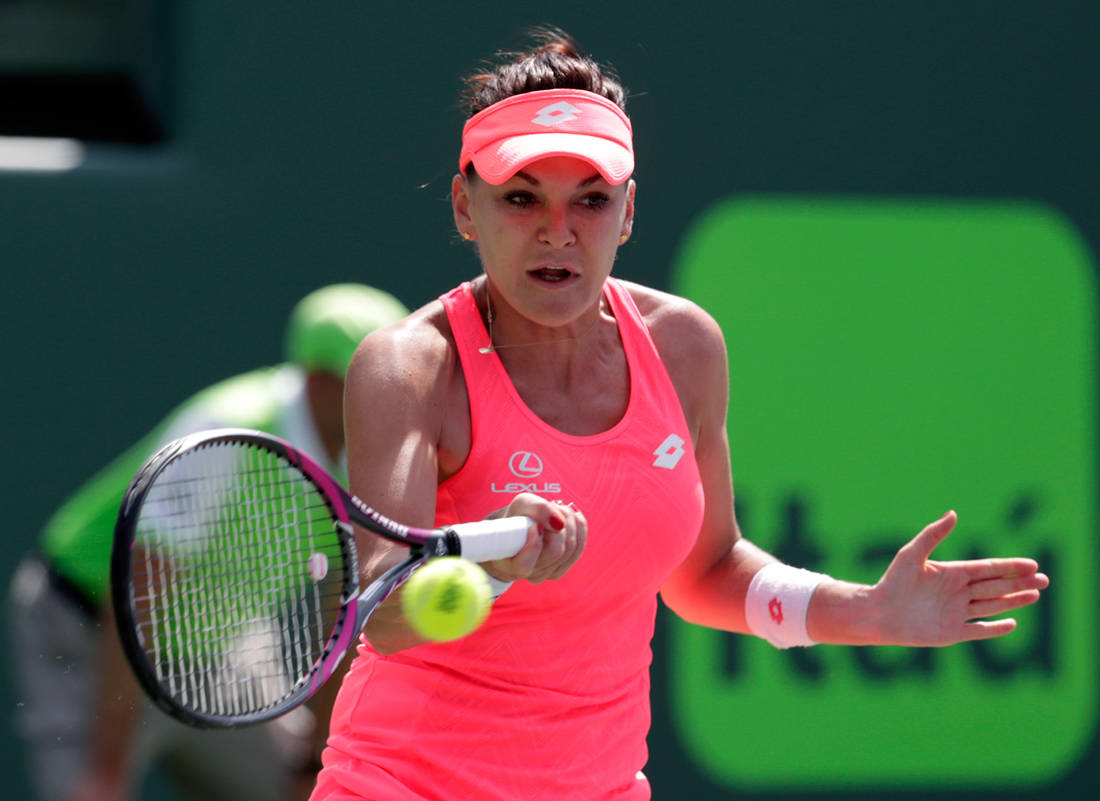 wkv18083715795323 wkv18083715795323