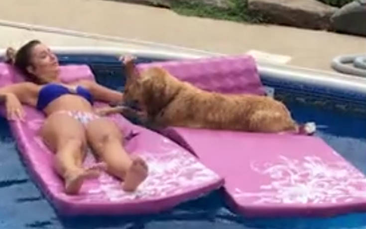 Αυτό θα πει σκυλίσια ζωή