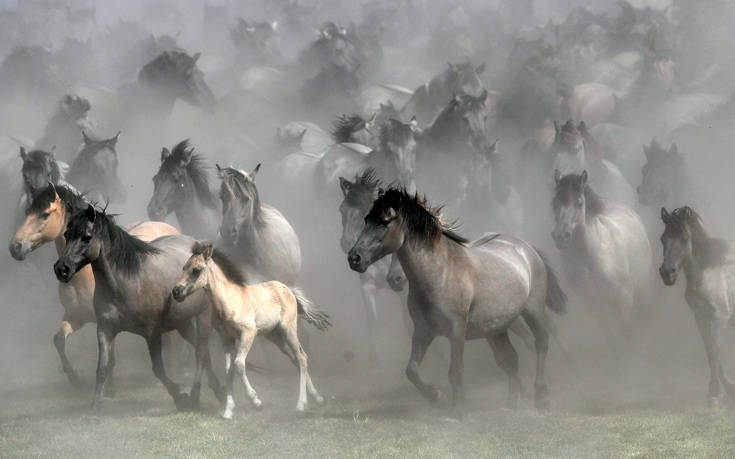 18146650746850 18146650746850