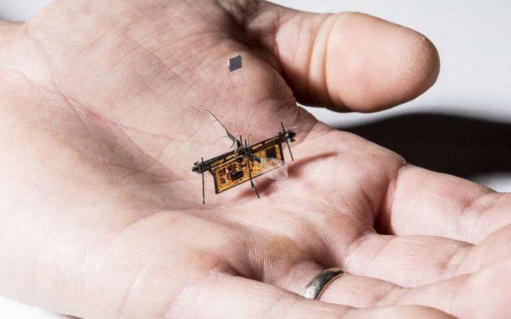 Ένα «έντομο» ανοίγει τον δρόμο για τα microdrones