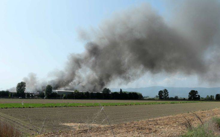 «Θα διατηρήσουμε ακέραιες όλες τις θέσεις εργασίας στο εργοστάσιο της Ξάνθης»