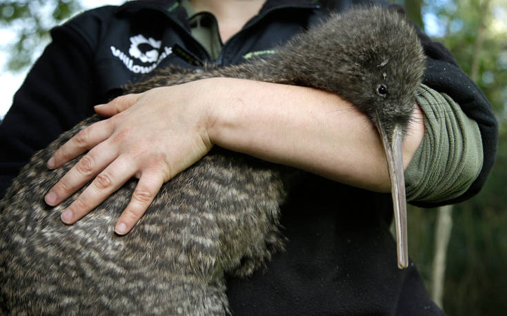 AP_17124264134794 AP_17124264134794