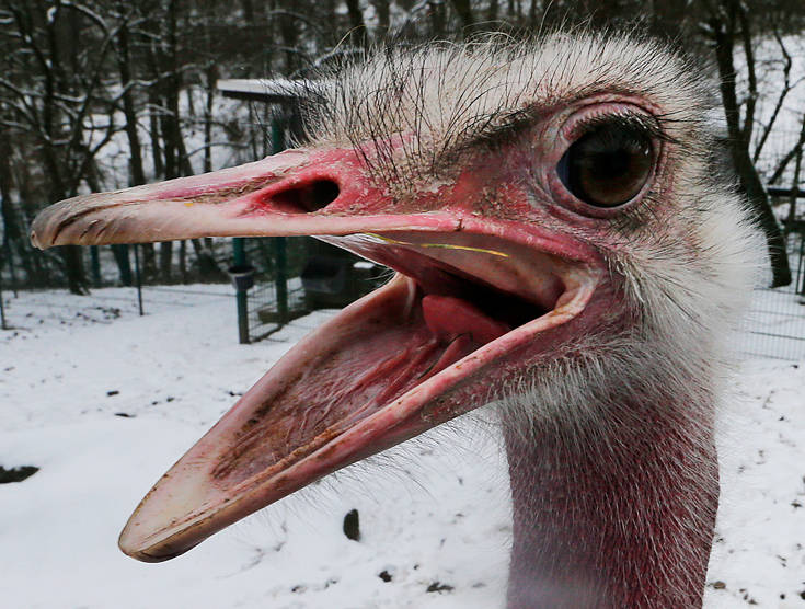 AP_18062641581282 AP_18062641581282