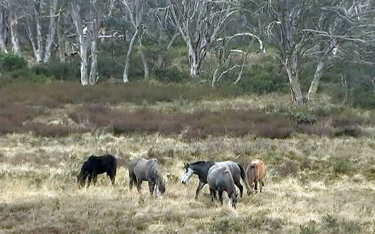 AP_18141393292329 AP_18141393292329