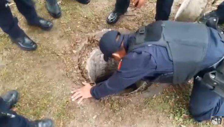 Clipboard01 Clipboard01